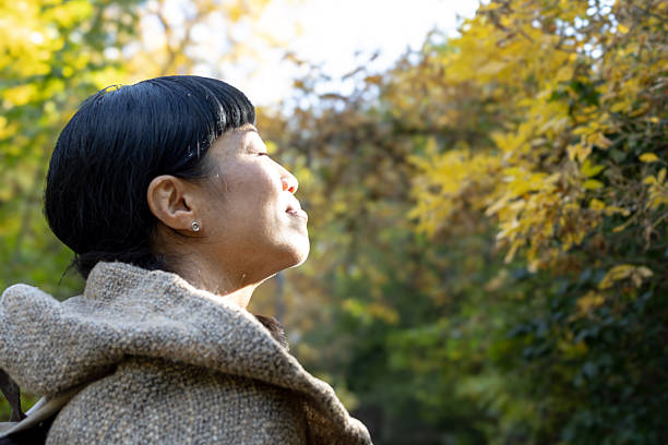 sunlight source of vitamin d